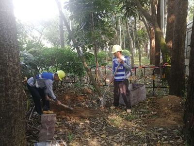 2018年9月15日“寶安大道綜合提升工程園林一標”施工日報