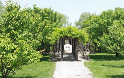 園林綠化工程類論文在職稱評(píng)審中的要求與指導(dǎo)