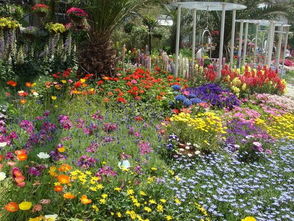 企業(yè)簡(jiǎn)介 專注園林綠化工程，構(gòu)建綠色美好家園