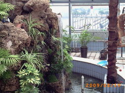 園林綠化工程 美化環境，一呼百應