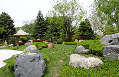 《園林綠化工程建設管理規定》發布，擘畫城市綠色未來新藍圖