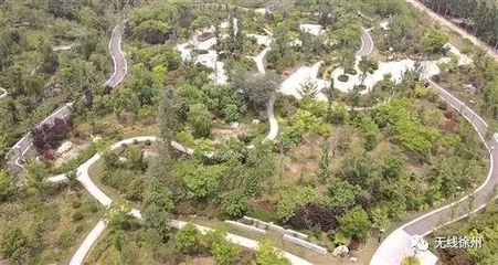 新法嚴懲彰顯決心，徐州生態建設再譜新篇