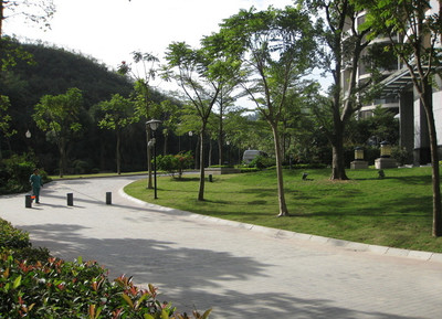 專業承接各類園林綠化工程，打造綠色生態空間