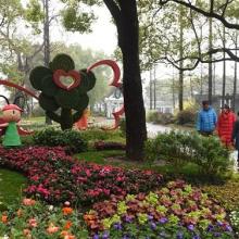 四川森磊淼綠化園林工程有限責任公司 打造綠色生態的專業園藝品牌